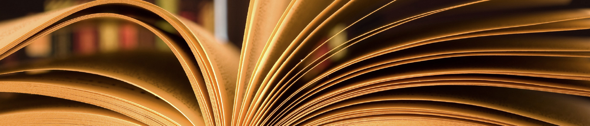 البنر الثاني